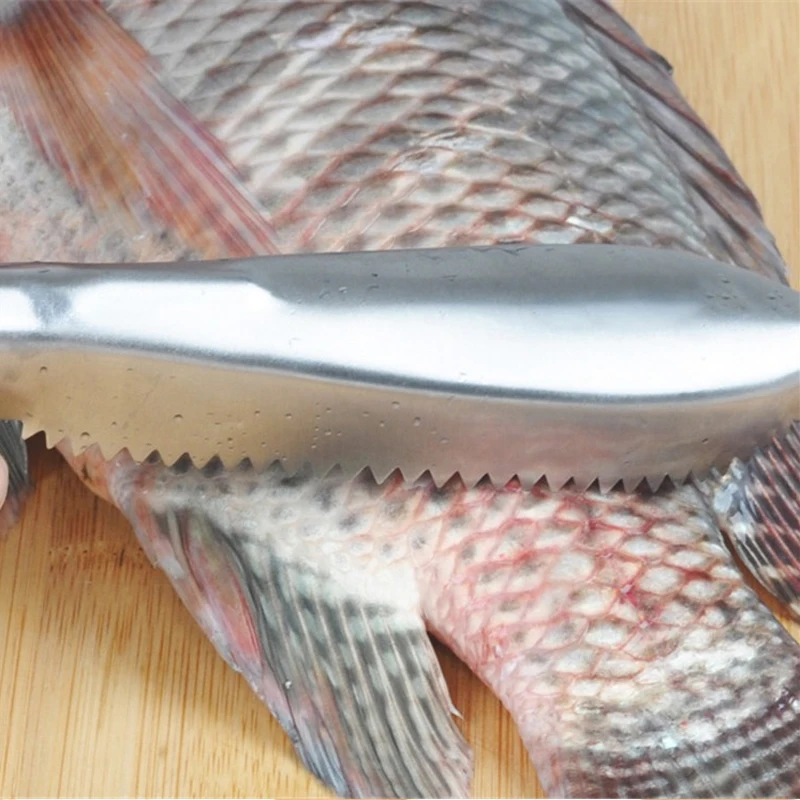 Stainless Steel Fish Cleaning  - Kitchen Gadgets Com บทวิจารณ์และราคา