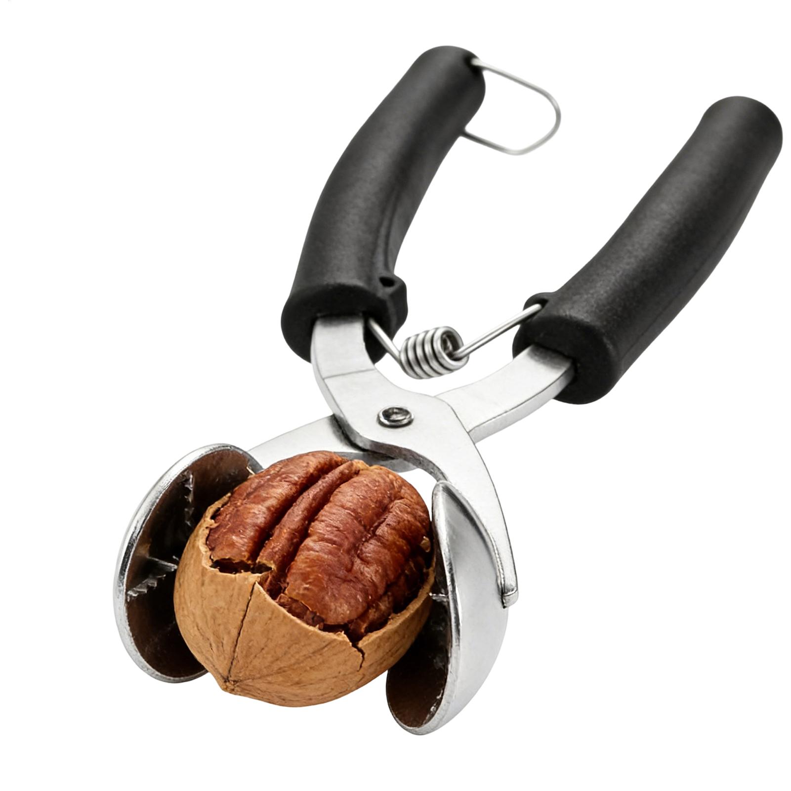 Stainless Chestnut Machine Kit - Kitchen Gadgets For Seniors บทวิจารณ์และราคา